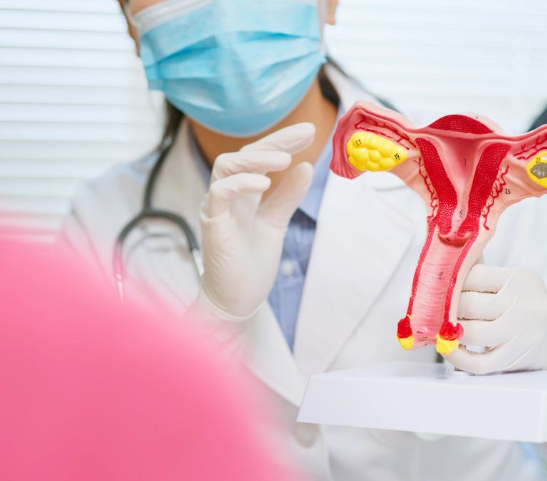 How Are Endometrial Changes Assessed In Menopausal Women