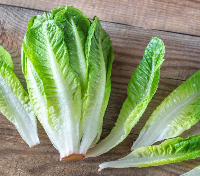 How Eating Your Greens Improve Menopausal Symptoms Romaine Lettuce