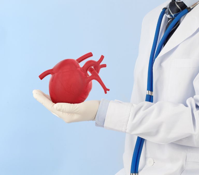 Top 10 Health Risks Facing Women In Menopause - Heart Disease