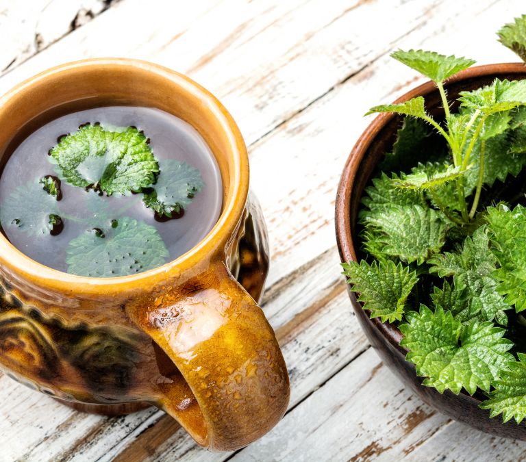What Tea Will Help Relief You of Menopause Nettle Tea