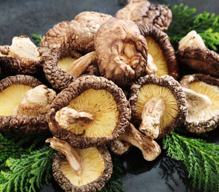 Top 10 Awesome Benefits Of Vitamin B12 + Best B12 Foods To Eat During Menopause Vitamin B12 Shiitake mushrooms